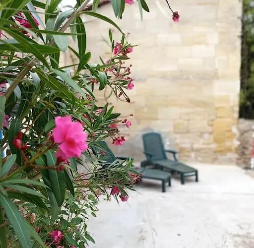 דירה Confortable T2 - 1 A 4 Pers- Wifi *